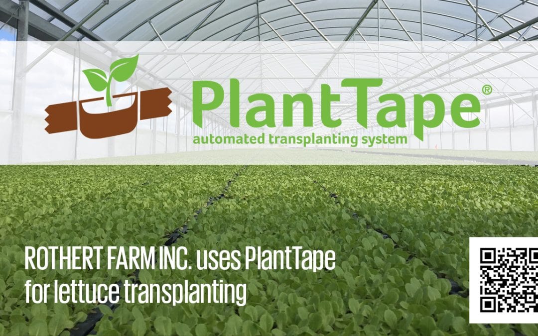 lettuce - PlantTape