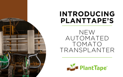 PlantTape Revolutionizes Tomato Industry with New Automated Transplanter